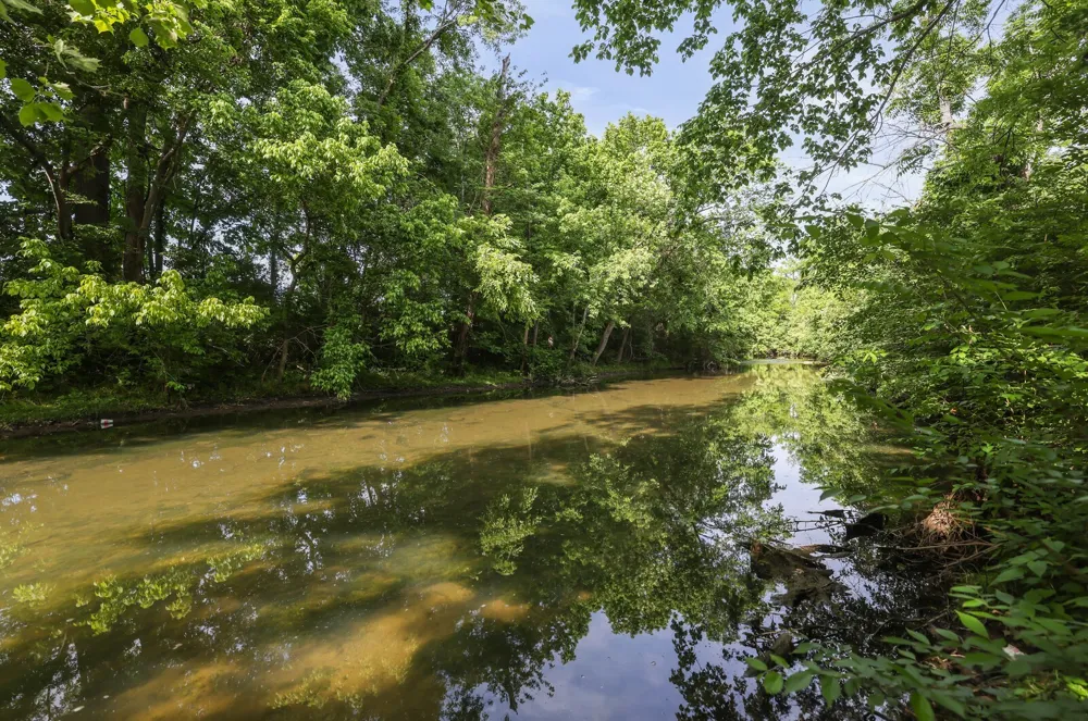 132 Rosebush Ln Lebanon, TN 37087