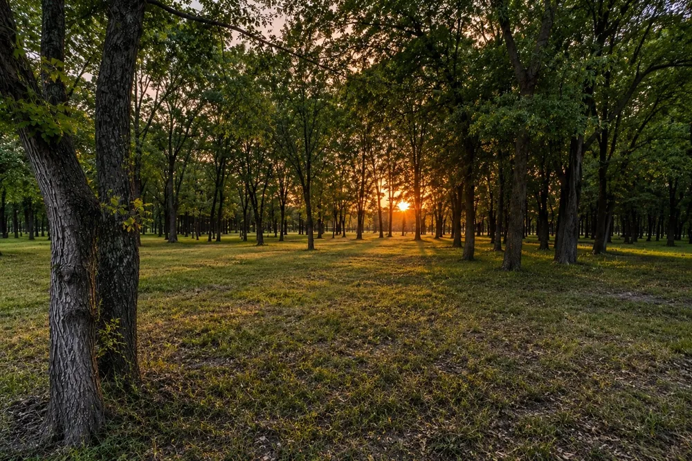 Tee Taw Circle Sherman, TX 75092