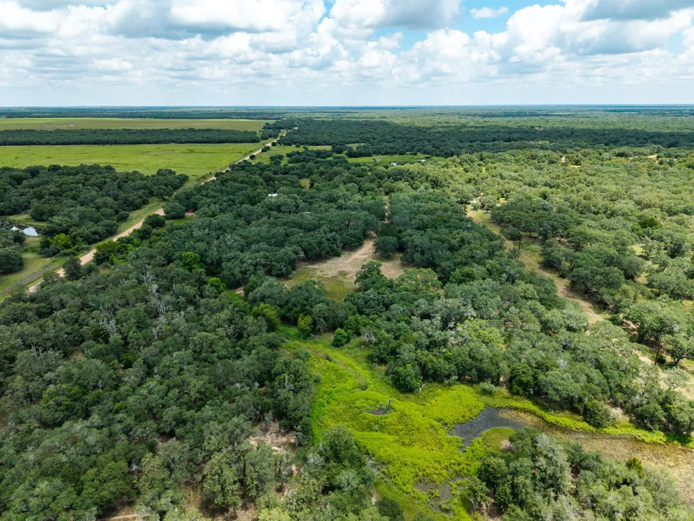 5641 County Road 14 Hallettsville, TX 77964