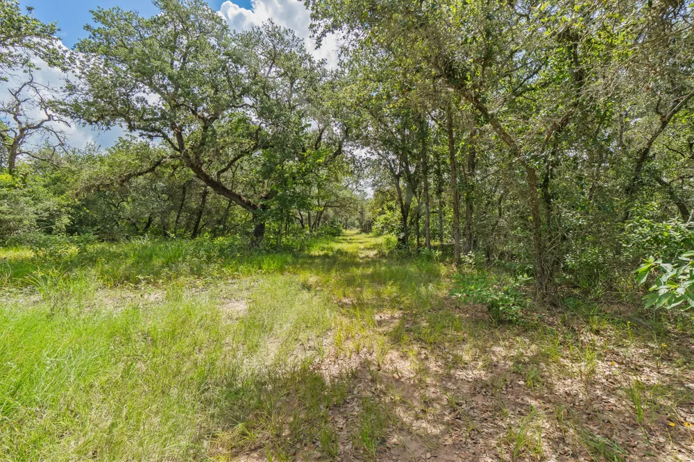 5641 County Road 14 Hallettsville, TX 77964