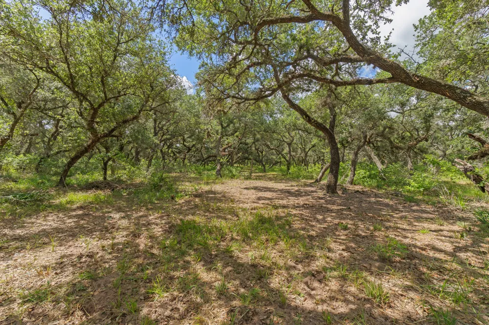 5641 County Road 14 Hallettsville, TX 77964