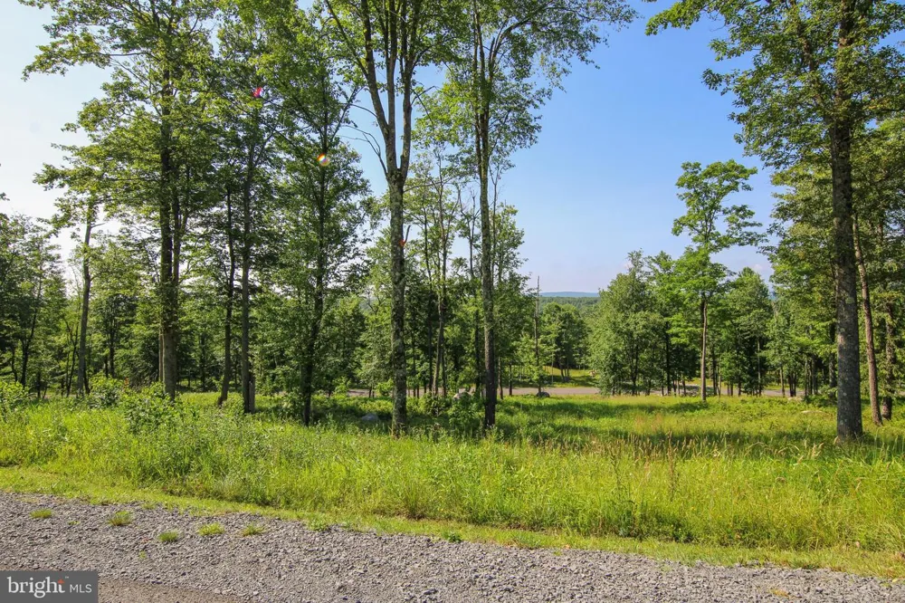 117 CAMPFIRE DRIVE Mc Henry, MD 21541