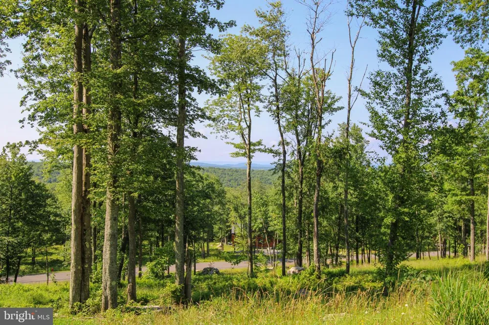 117 CAMPFIRE DRIVE Mc Henry, MD 21541
