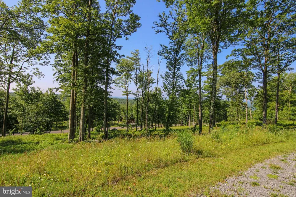 117 CAMPFIRE DRIVE Mc Henry, MD 21541