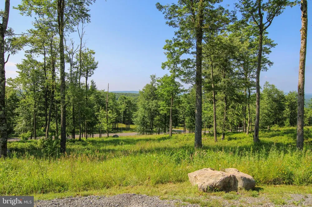 117 CAMPFIRE DRIVE Mc Henry, MD 21541