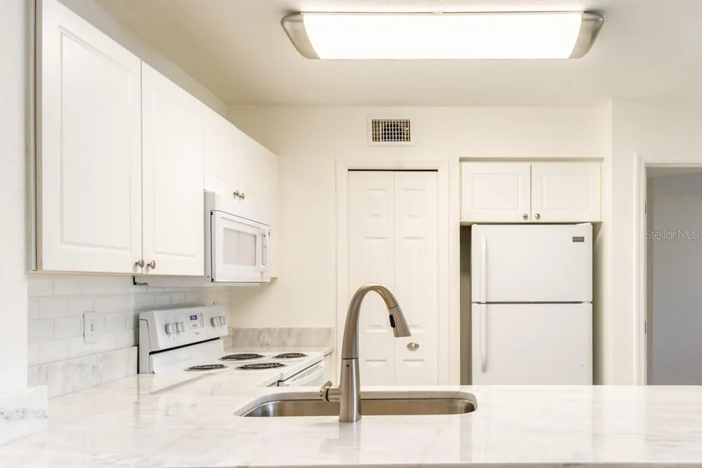 4209 WOODSTORKS WALK WAY #1110 Lutz, FL 33558