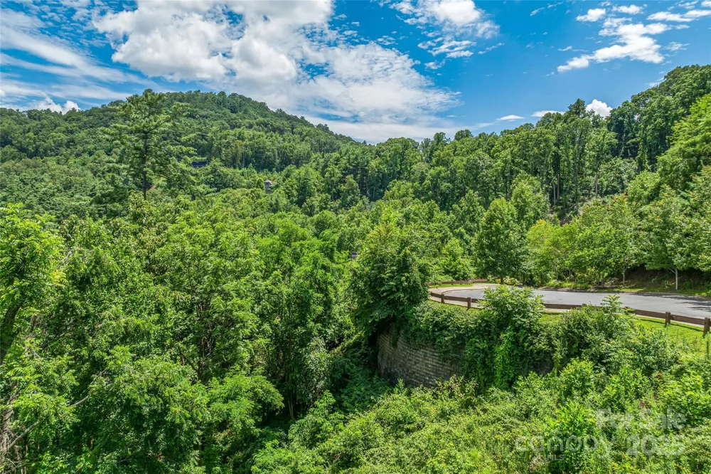 29 Grovepoint Way Asheville, NC 28804