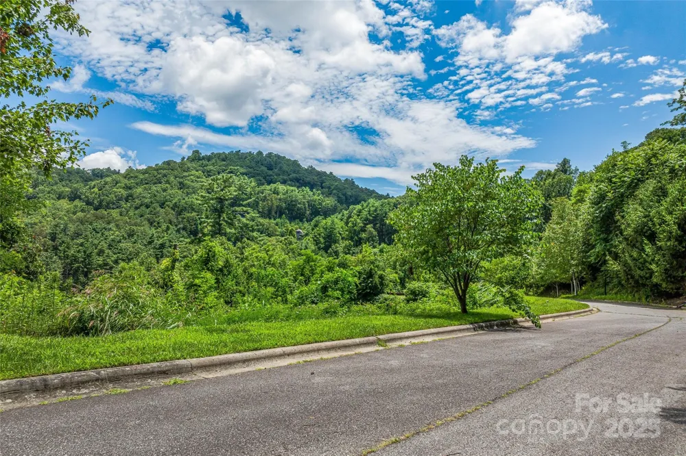 29 Grovepoint Way Asheville, NC 28804