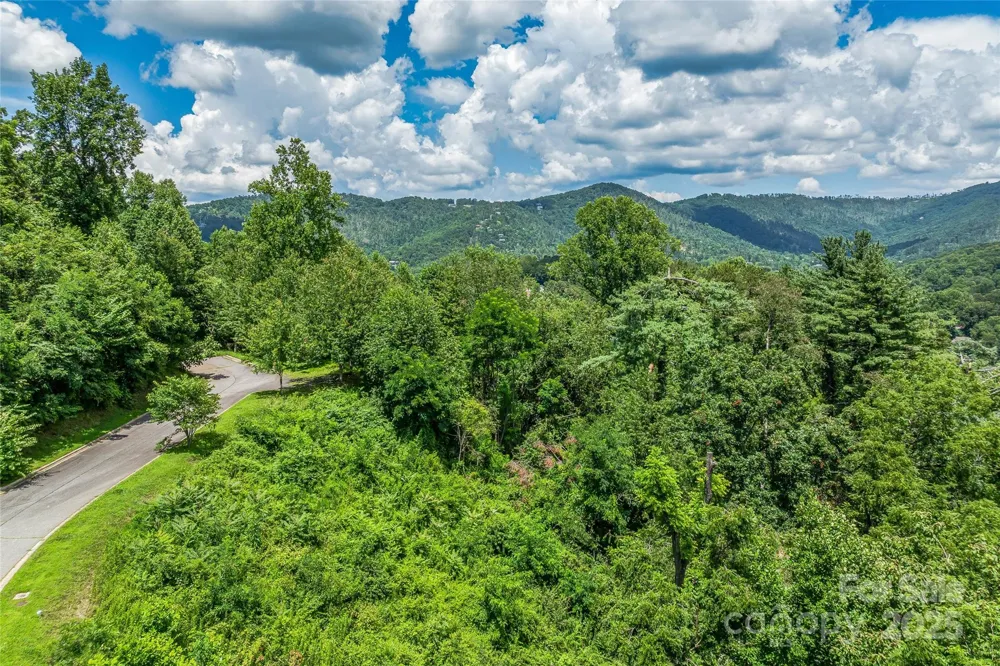 29 Grovepoint Way Asheville, NC 28804