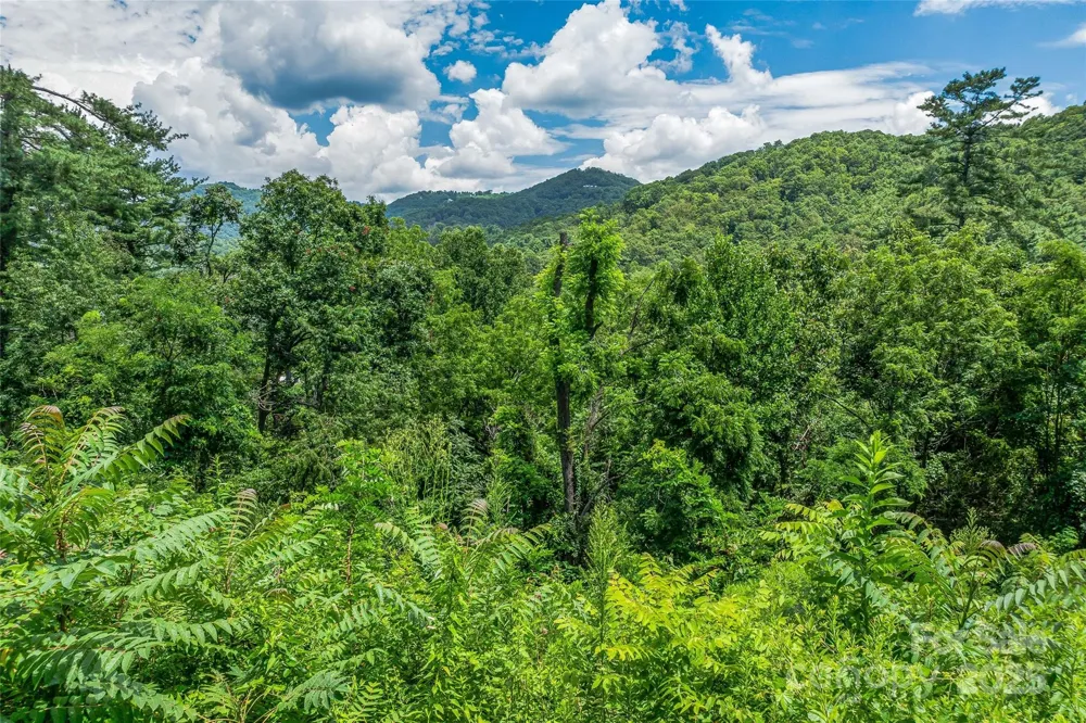 29 Grovepoint Way Asheville, NC 28804