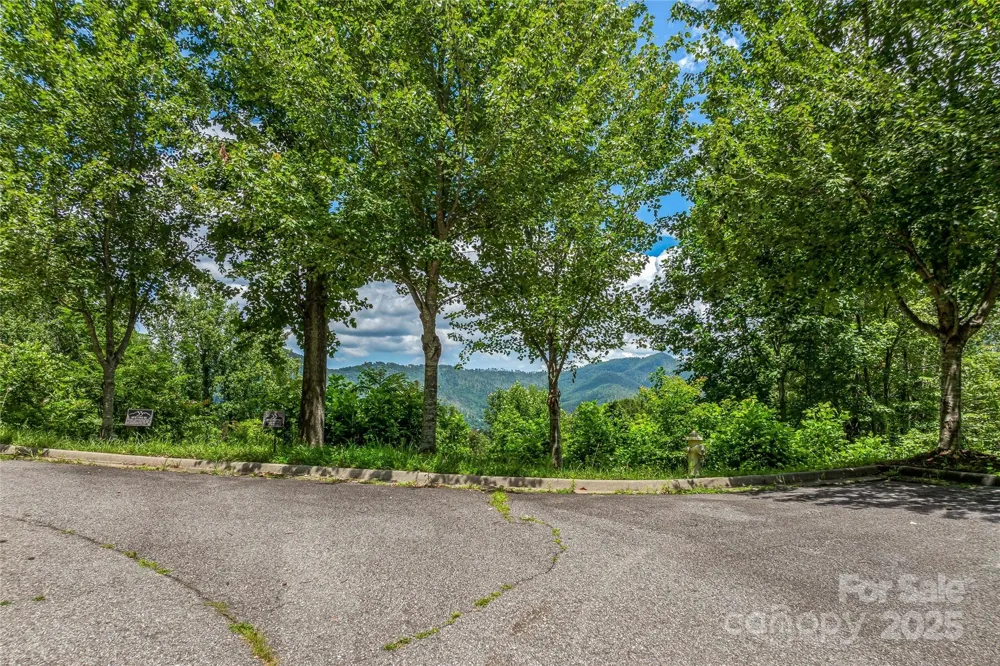 29 Grovepoint Way Asheville, NC 28804