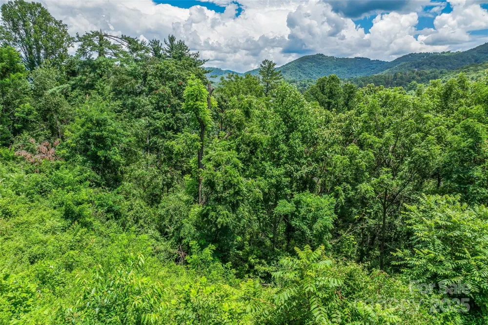 29 Grovepoint Way Asheville, NC 28804