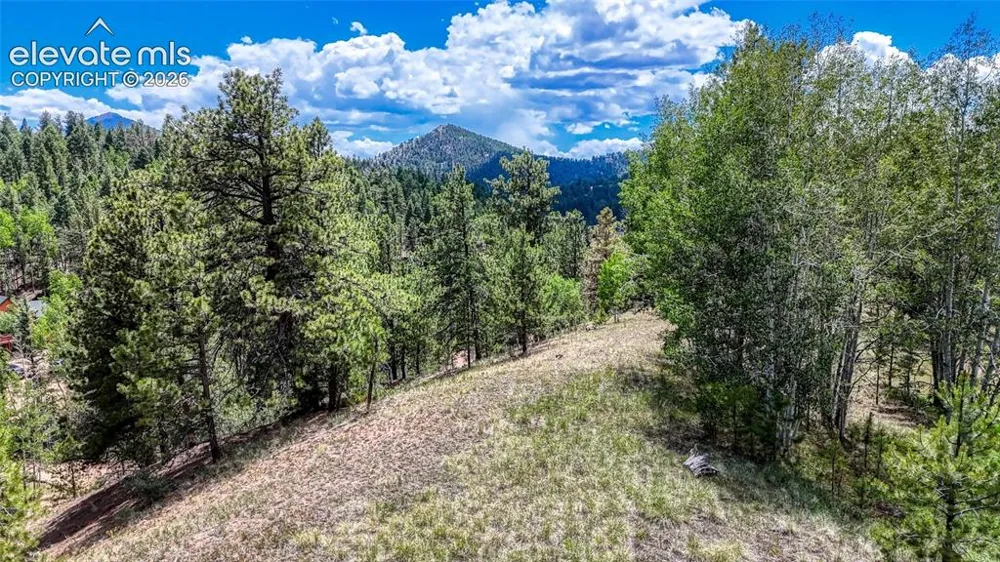 218 Princess Road Cripple Creek, CO 80813