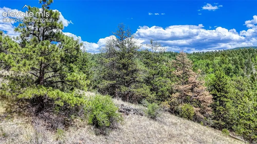 218 Princess Road Cripple Creek, CO 80813