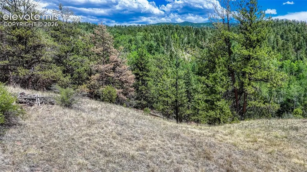 218 Princess Road Cripple Creek, CO 80813