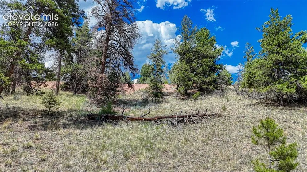 218 Princess Road Cripple Creek, CO 80813
