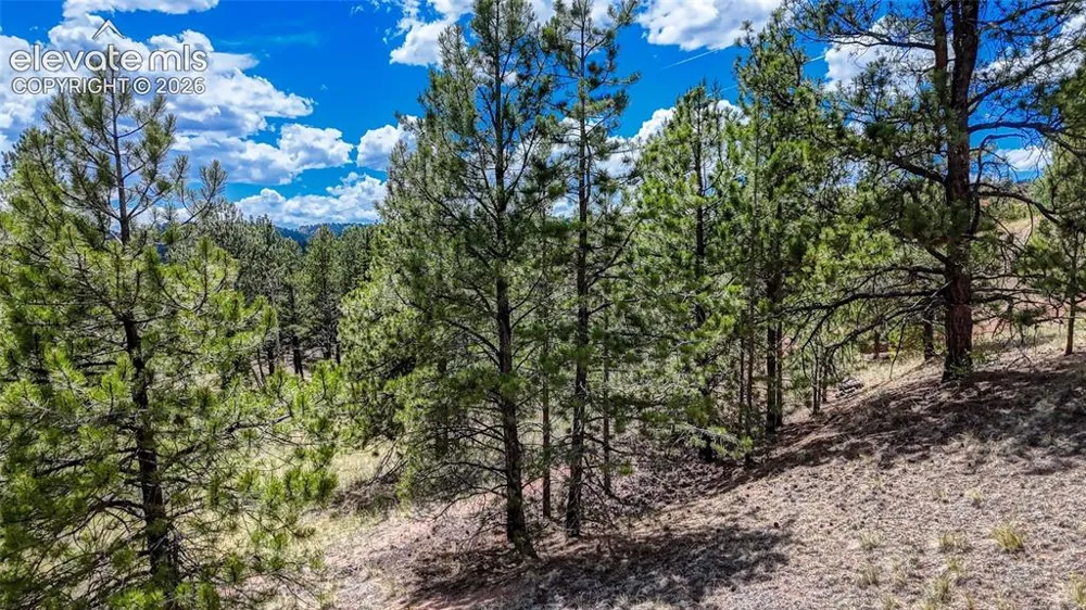218 Princess Road Cripple Creek, CO 80813