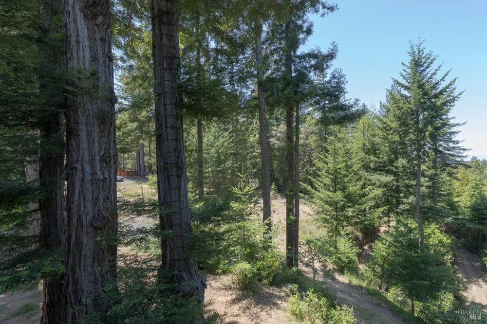 44000 Iversen Road Gualala, CA 95445