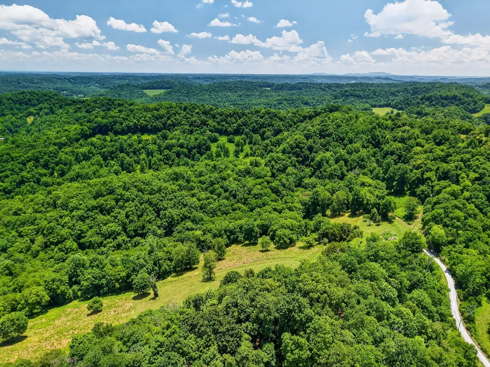 99 Judkins Ln Hickman, TN 38567