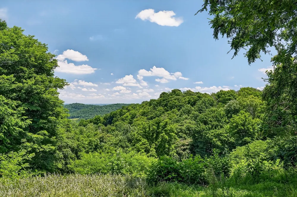 99 Judkins Ln Hickman, TN 38567