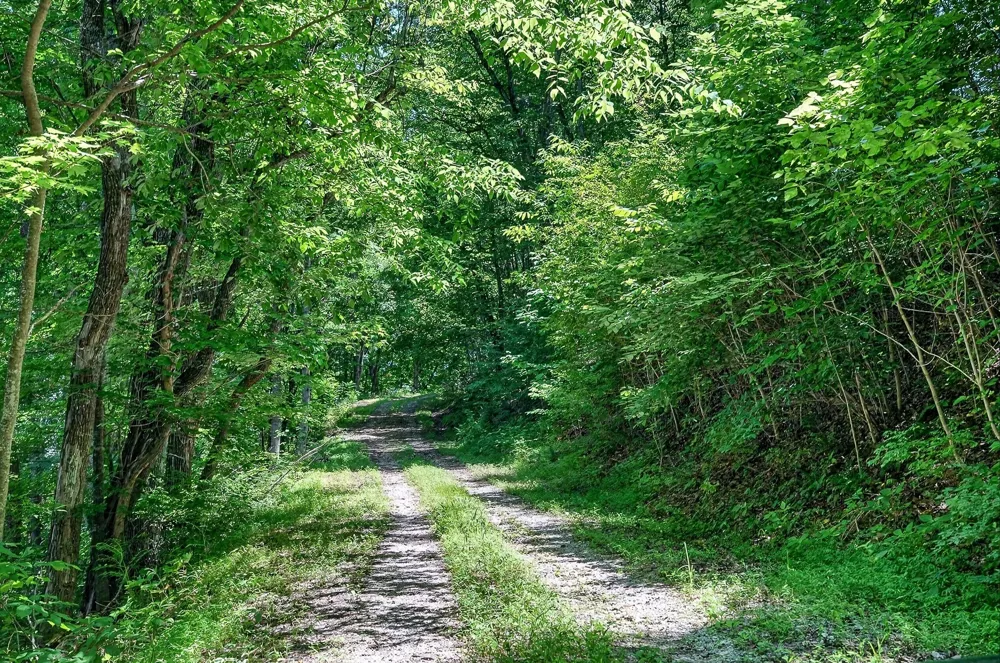 99 Judkins Ln Hickman, TN 38567