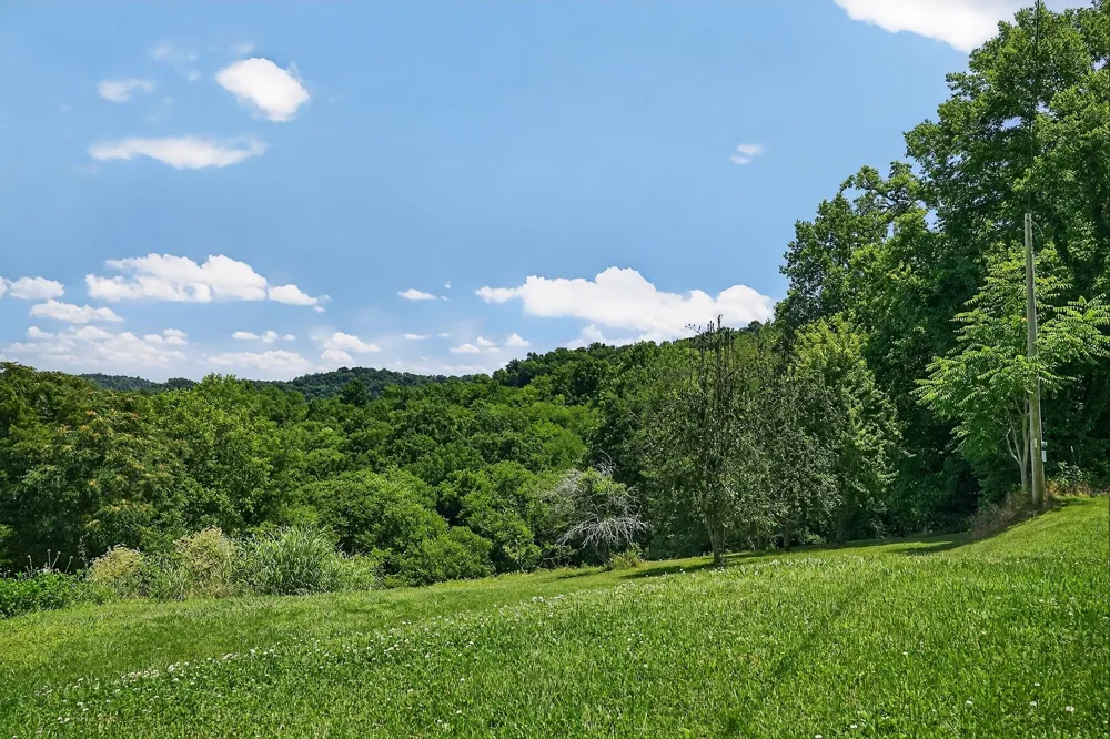 99 Judkins Ln Hickman, TN 38567