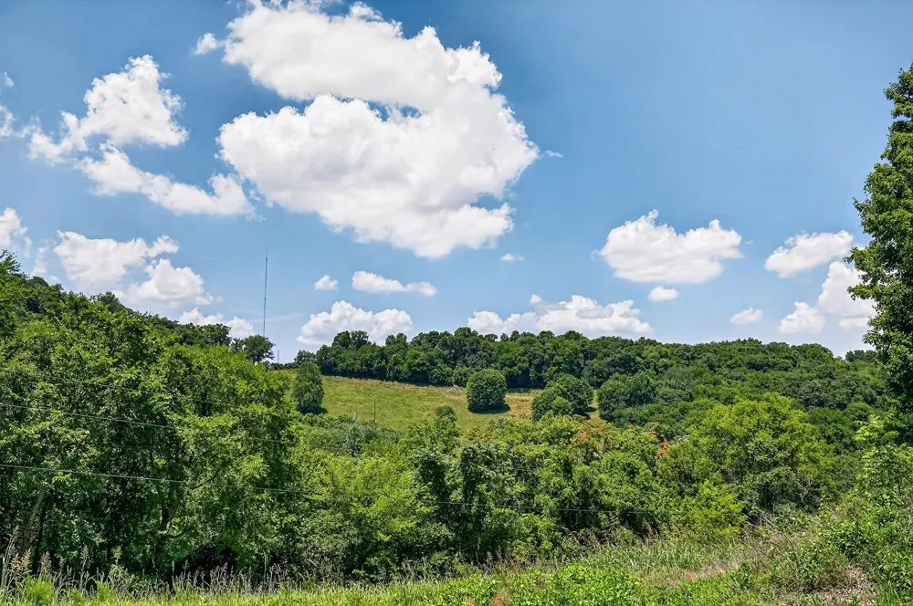 99 Judkins Ln Hickman, TN 38567