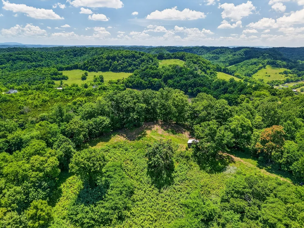 99 Judkins Ln Hickman, TN 38567