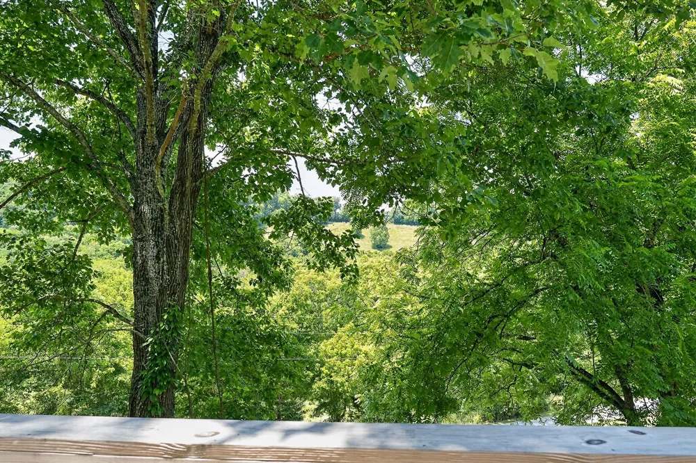 99 Judkins Ln Hickman, TN 38567