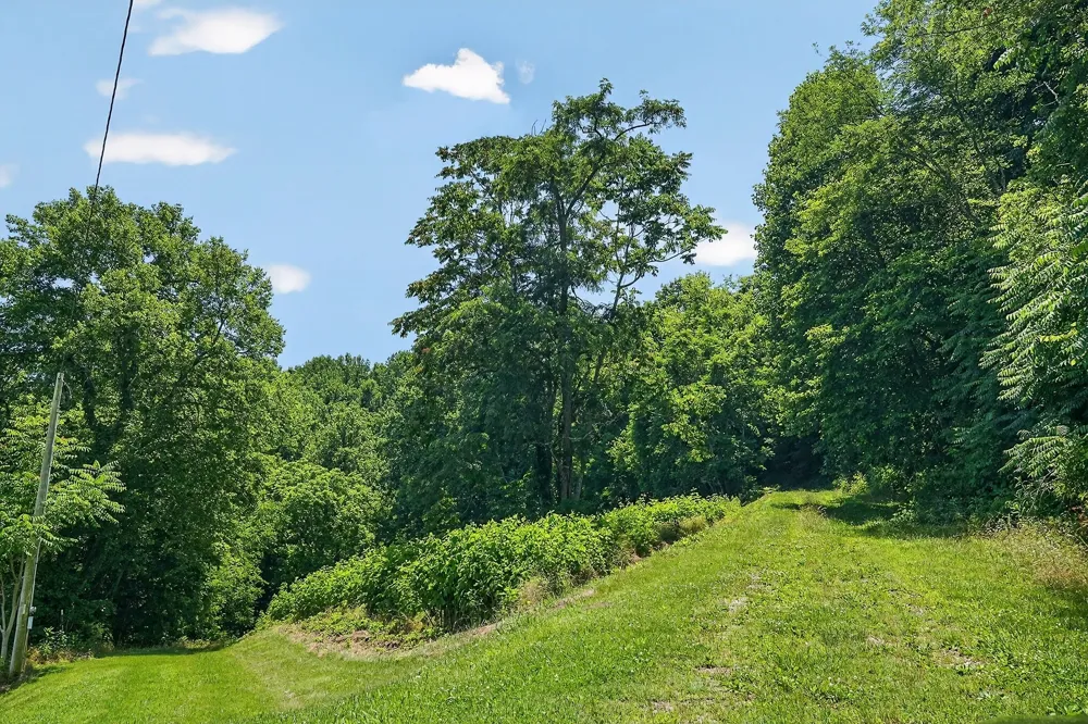 99 Judkins Ln Hickman, TN 38567