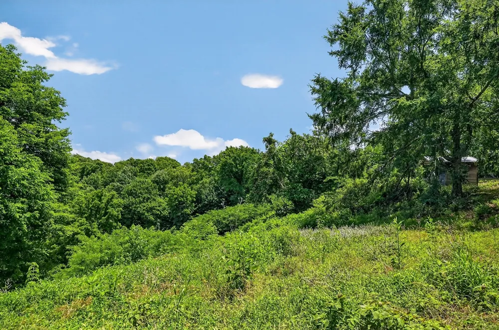 99 Judkins Ln Hickman, TN 38567