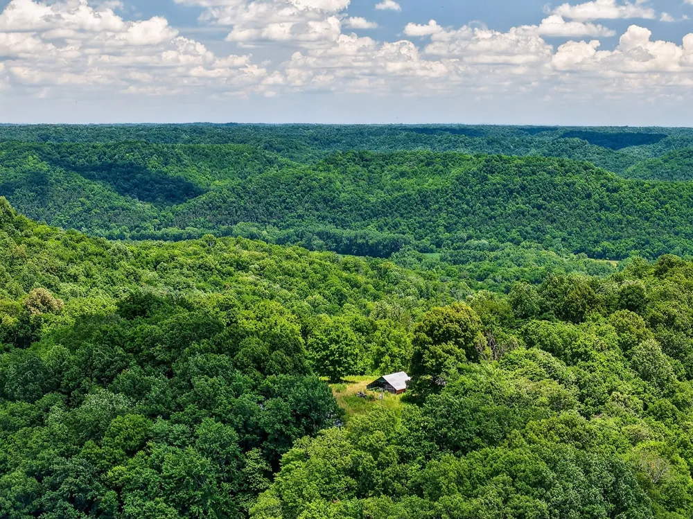 99 Judkins Ln Hickman, TN 38567