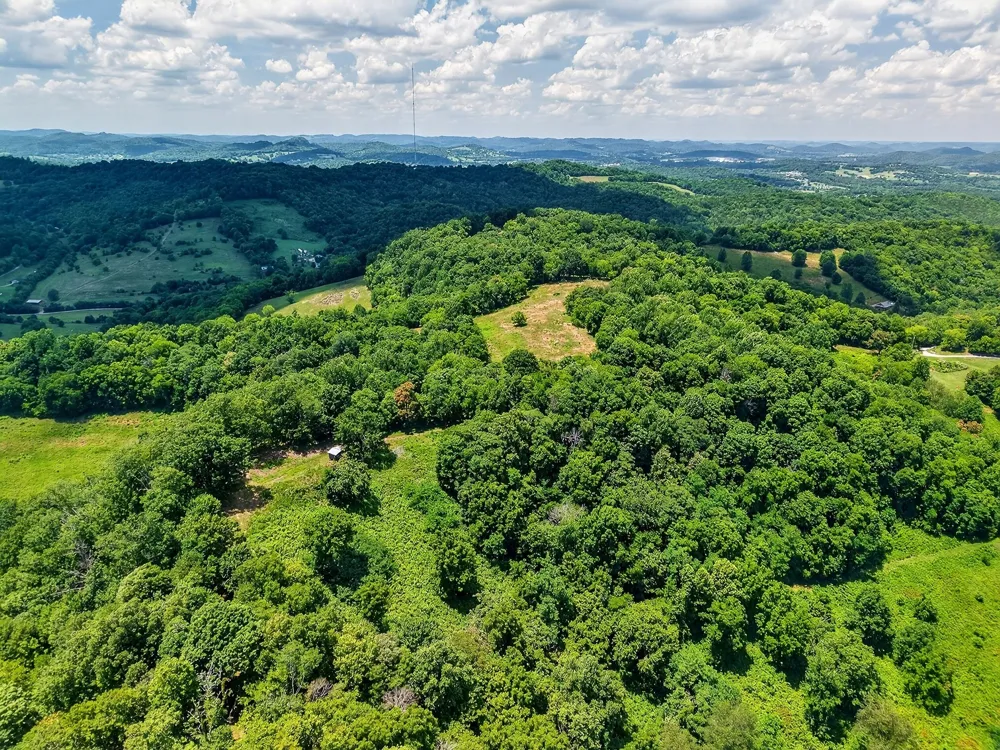 99 Judkins Ln Hickman, TN 38567