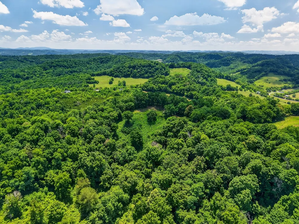 99 Judkins Ln Hickman, TN 38567