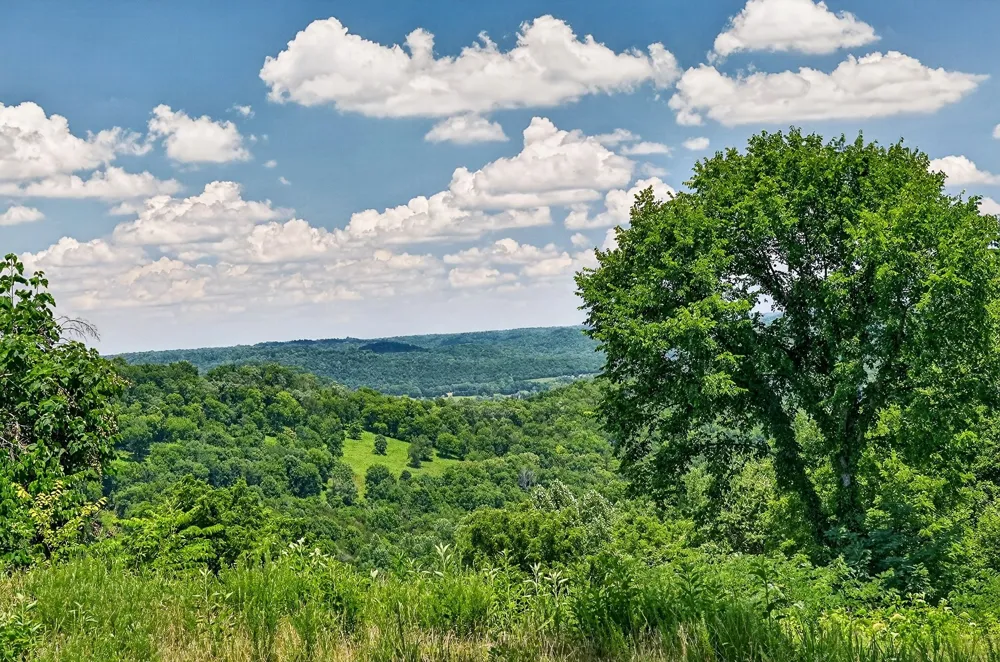 99 Judkins Ln Hickman, TN 38567