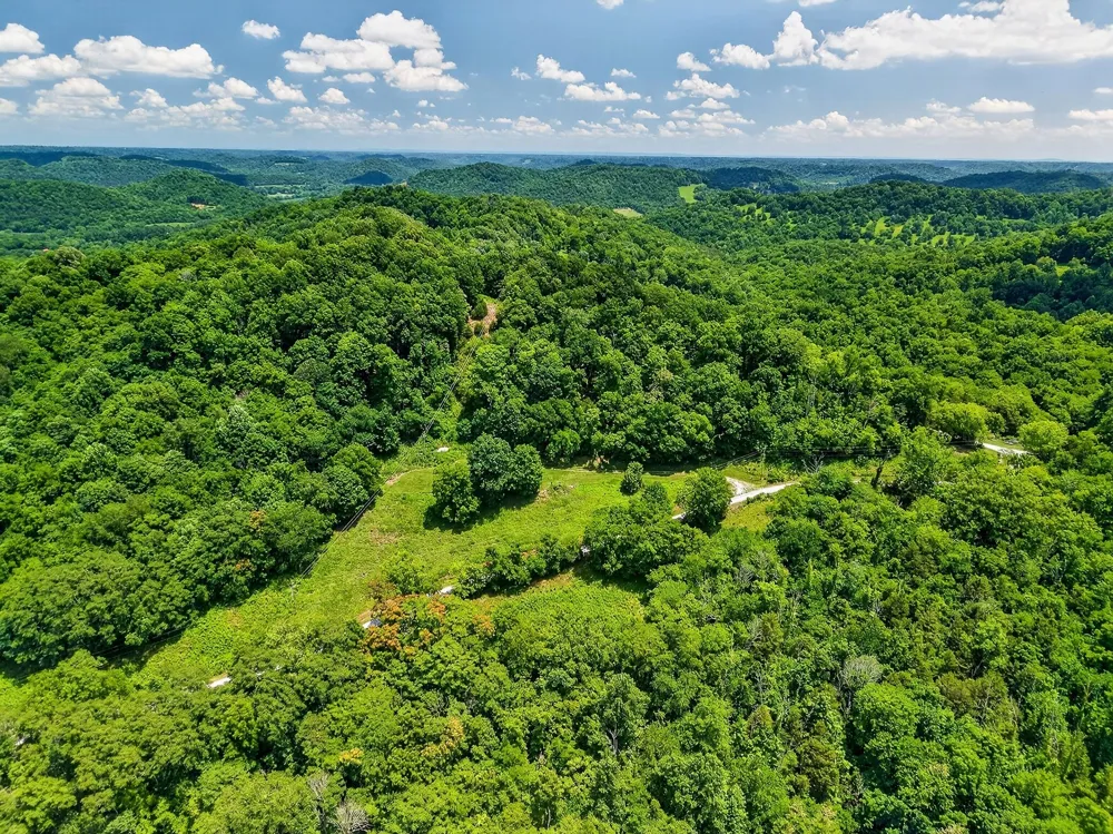 99 Judkins Ln Hickman, TN 38567