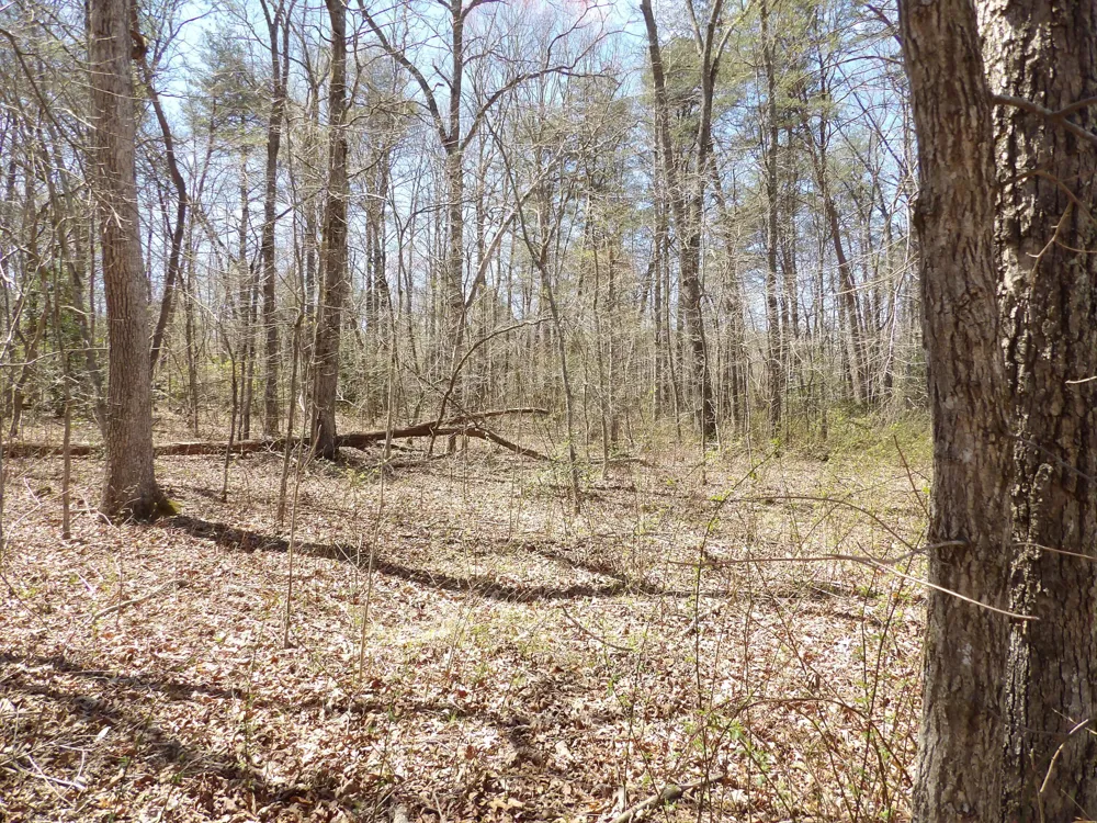 76 Pine Road Pikeville, TN 37367