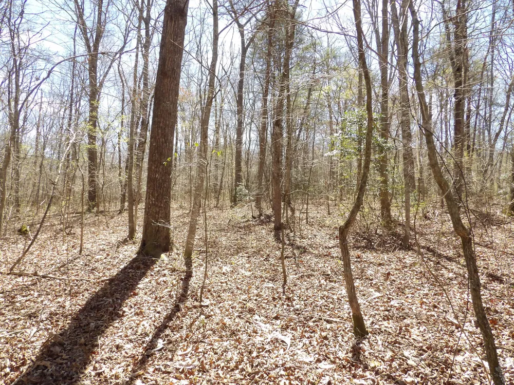 76 Pine Road Pikeville, TN 37367