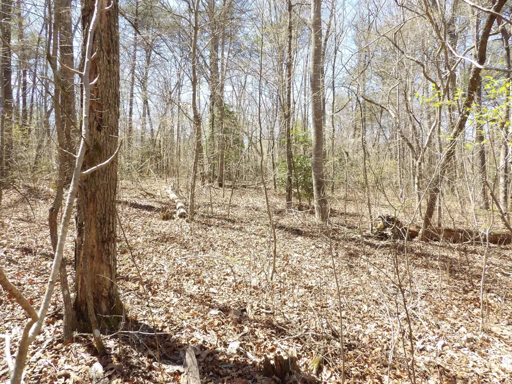 76 Pine Road Pikeville, TN 37367