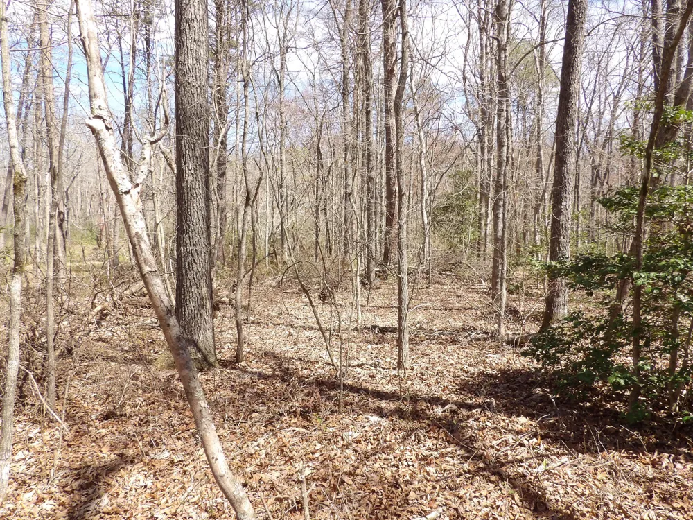 76 Pine Road Pikeville, TN 37367