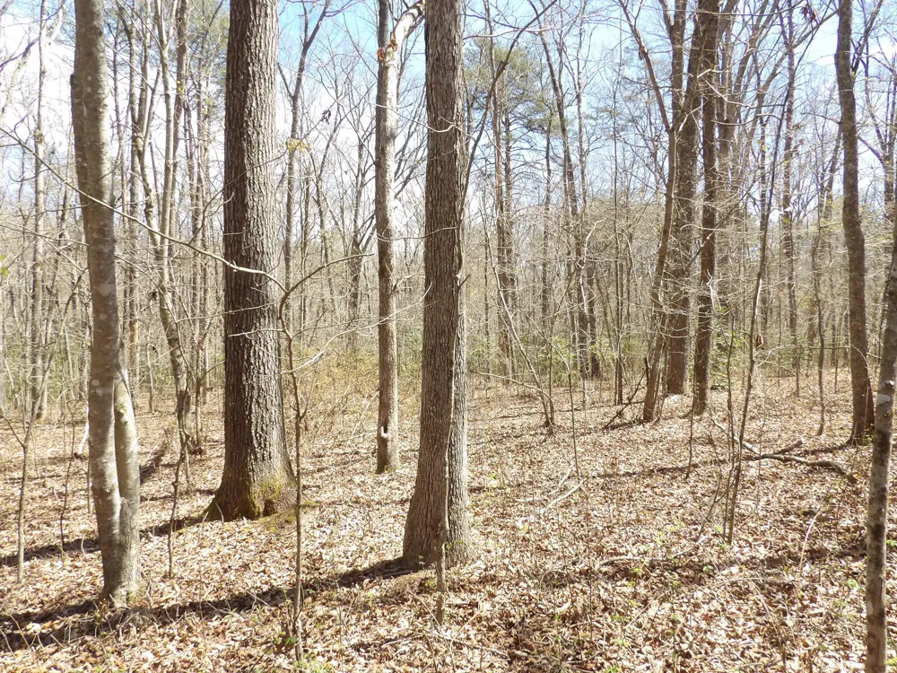 76 Pine Road Pikeville, TN 37367