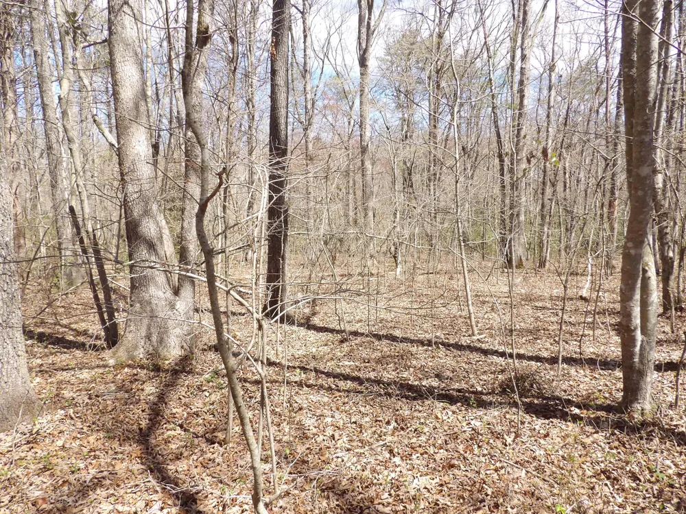 76 Pine Road Pikeville, TN 37367