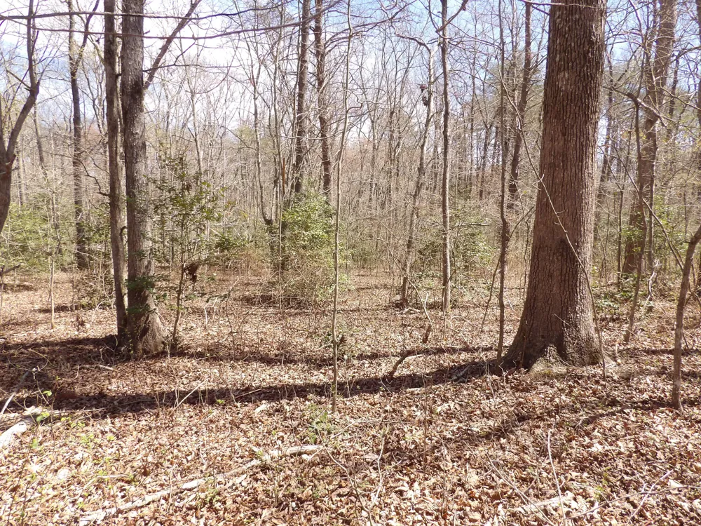 76 Pine Road Pikeville, TN 37367