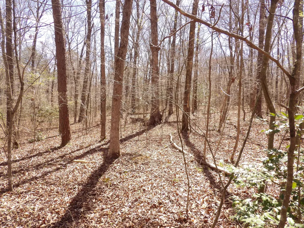 76 Pine Road Pikeville, TN 37367