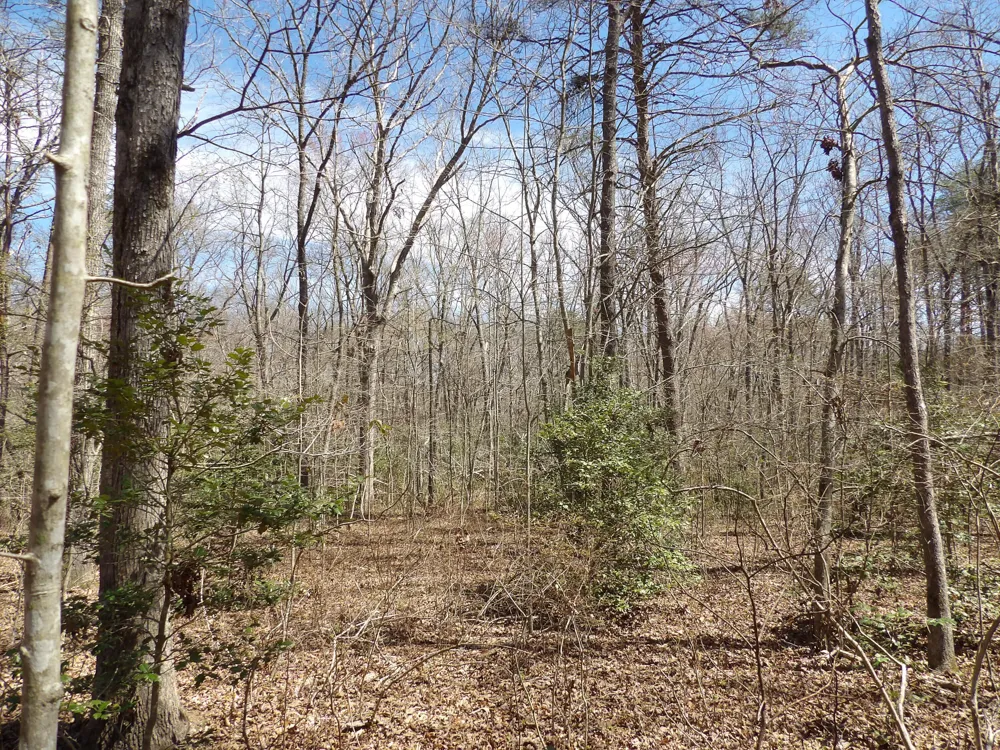 76 Pine Road Pikeville, TN 37367