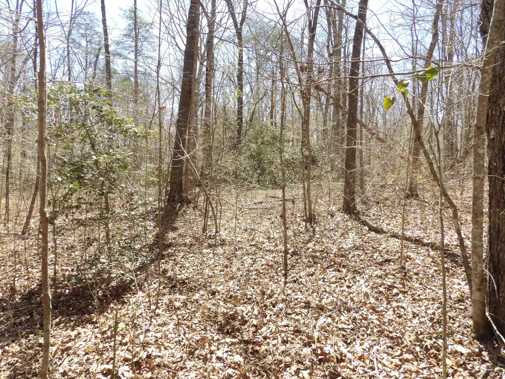 76 Pine Road Pikeville, TN 37367