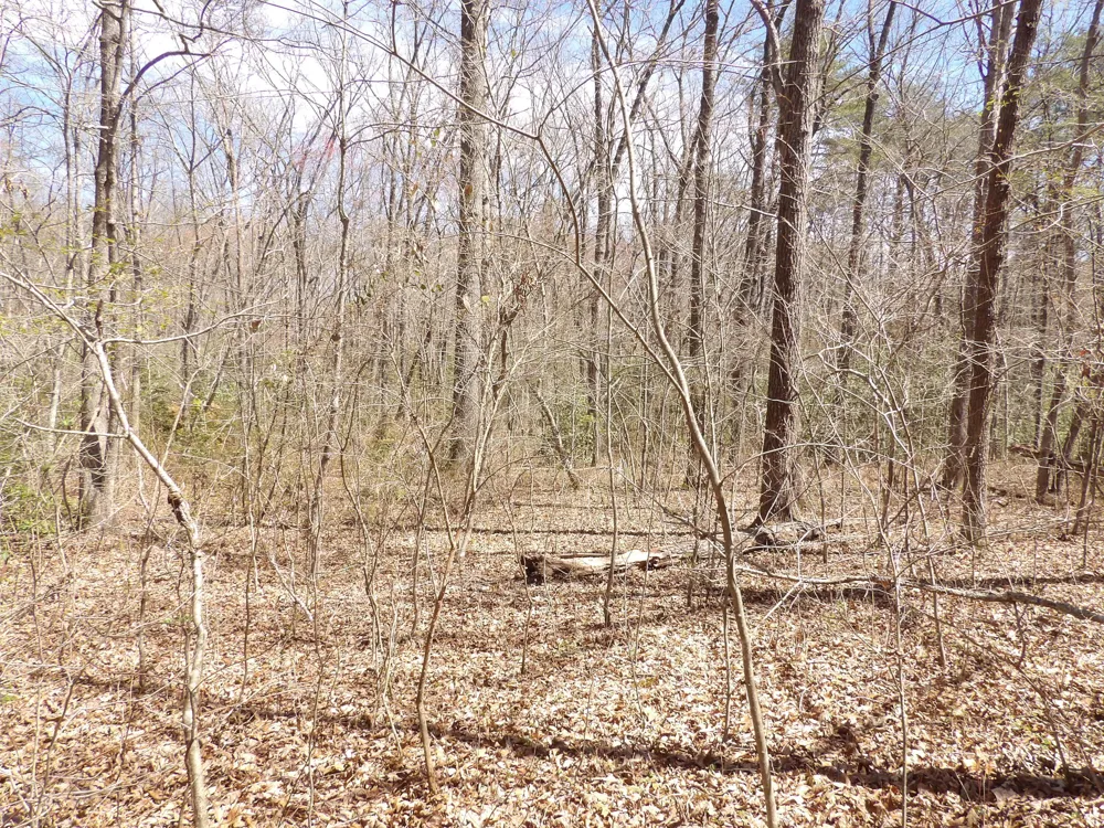 76 Pine Road Pikeville, TN 37367