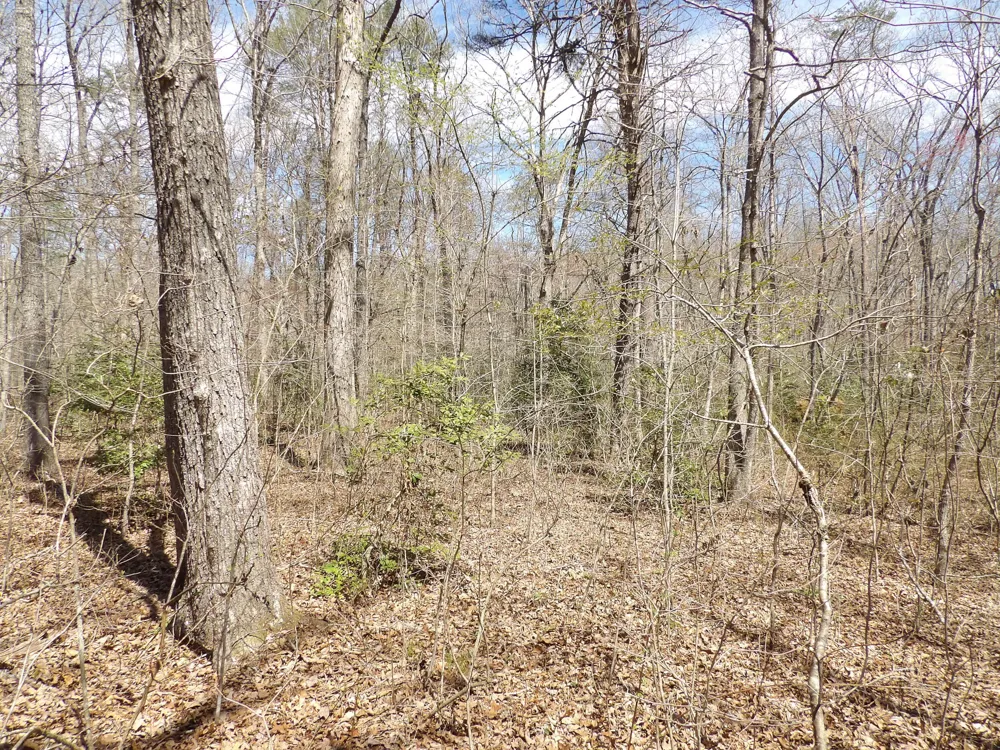 76 Pine Road Pikeville, TN 37367