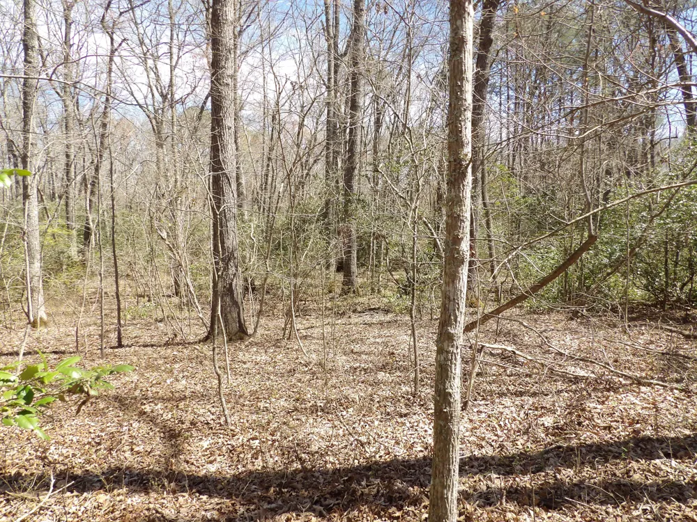 76 Pine Road Pikeville, TN 37367