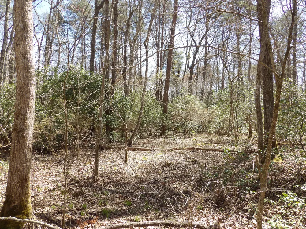 76 Pine Road Pikeville, TN 37367